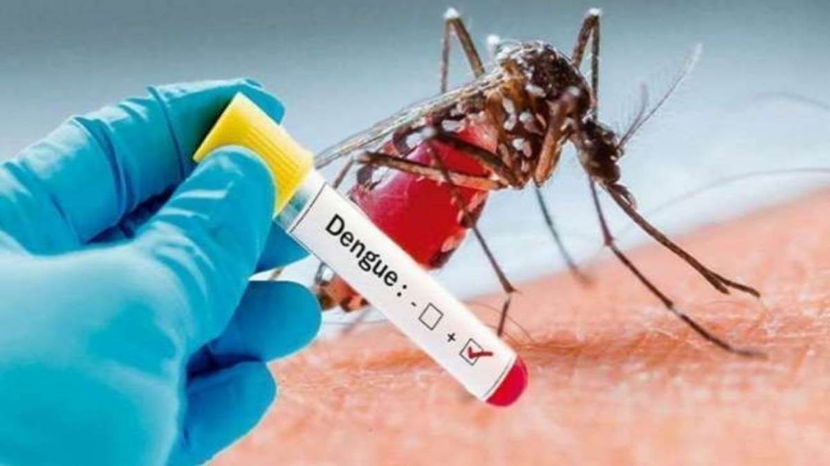 only 11 dengue cases registers in 24 hours after one month in jammu and kashmir