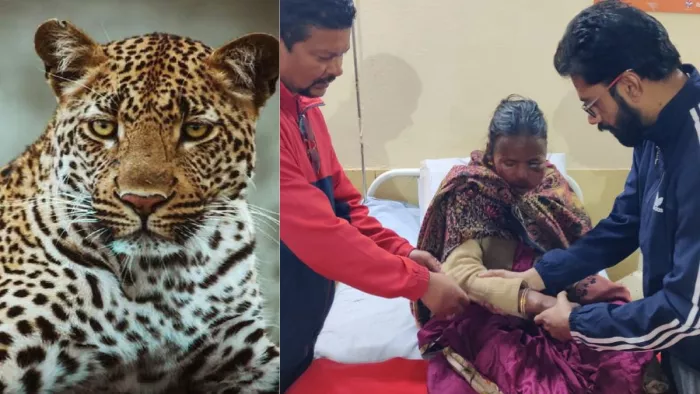 महिला और युवक को अधिक घाव आने के कारण हायर सेंटर रेफर कर दिया गयाI