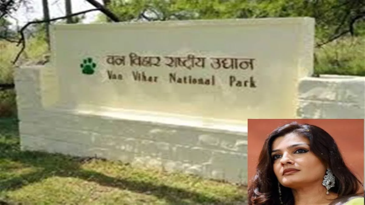 Itarsi News: सतपुड़ा टाइगर रिजर्व के चूरना परिक्षेत्र में अभिनेत्री रवीना टंडन जंगल सफारी करने गई थीं।
