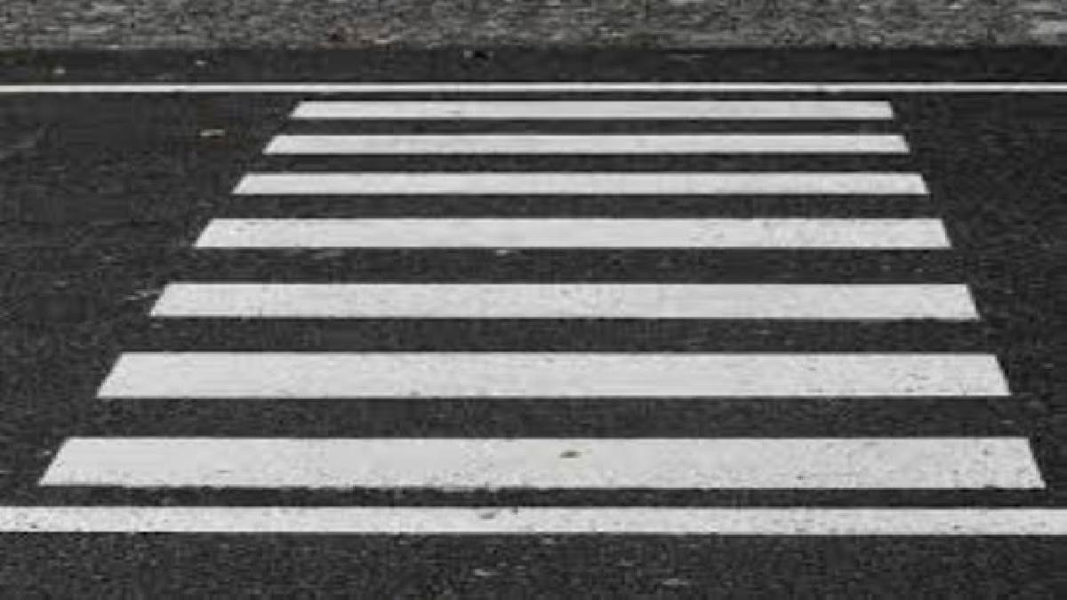 https://www.jagranimages.com/images/newimg/28112022/28_11_2022-zebra_crossing_23233272.jpg