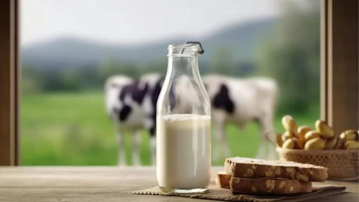 Cow Milk vs Buffalo Milk :सेहत के लिए कौन-सा दूध है ज्यादा बेहतर?