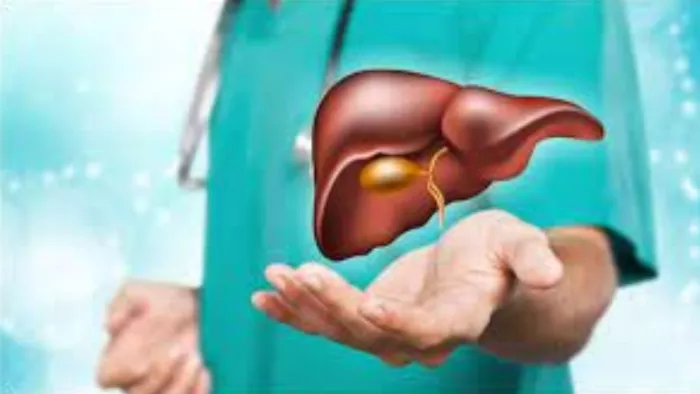 Liver Transplant: मानव शरीर का यह अंग भी दोबारा हो सकता है विकसित
