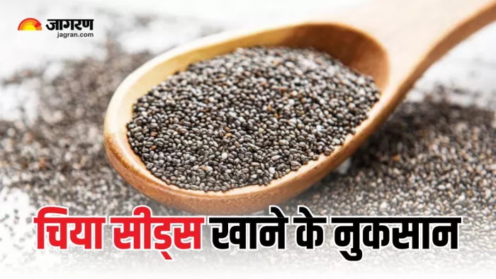 Chia Seeds से भी हो सकता है नुकसान? (Picture Courtesy: Freepik)
