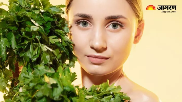Skin Care में बहुत काम आएगा हरा धनिया, जानें कैसे कर सकते हैं इस्तेमाल (Image Source: Freepik)