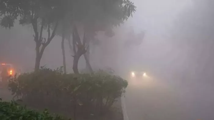 यूपी के कई जिलों में घने कोहरे की चेतावनी जारी।