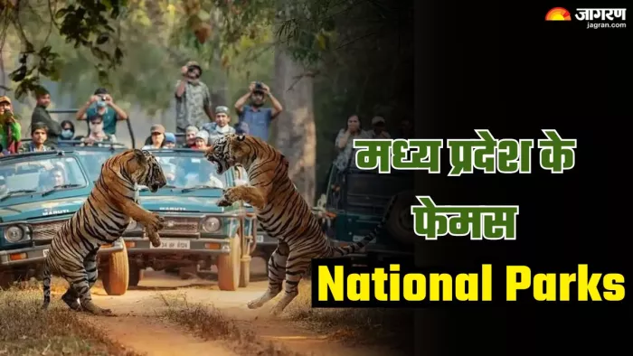 Madhya Pradesh National Parks: दुनियाभर में मशहूर हैं मध्य प्रदेश के ये नेशनल पार्क। (image credit- instagram)