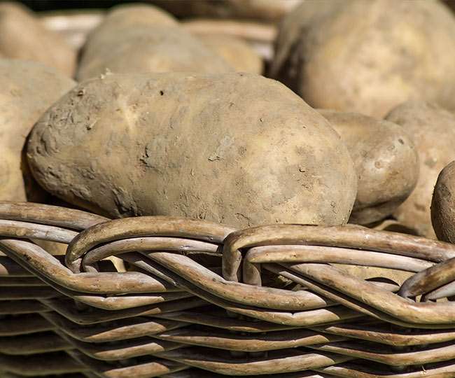 दुनिया में आलू उत्पादन में भारत का चौथा स्थान है।
