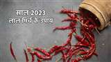 New Year 2023 Upay: नए साल के पहले मंगलवार को करें लाल मिर्च के ये टोटके