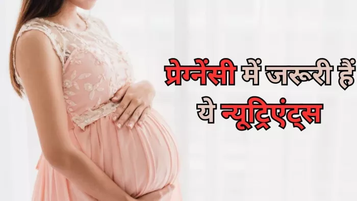 प्रेग्नेंसी में जरूरी हैं ये 5 न्यूट्रिएंट्स