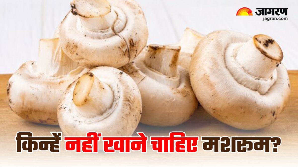 you too might be eating mushrooms with great fondness in winter but do you know the harm they can cause