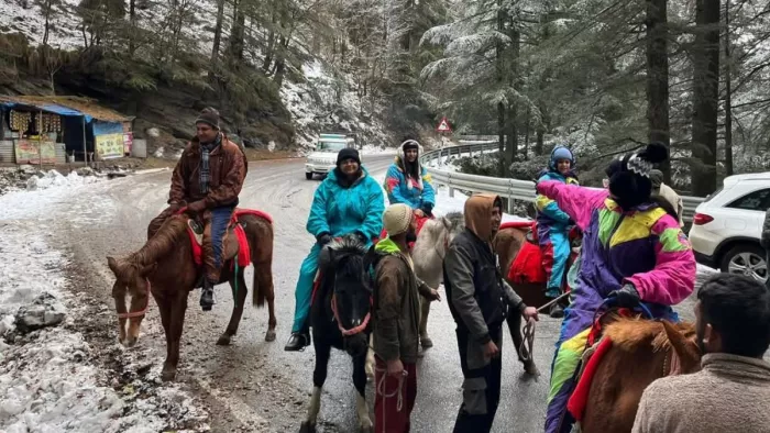 Himachal Snowfall: नारकंडा में बर्फ का लुत्फ उठाते पर्यटक।