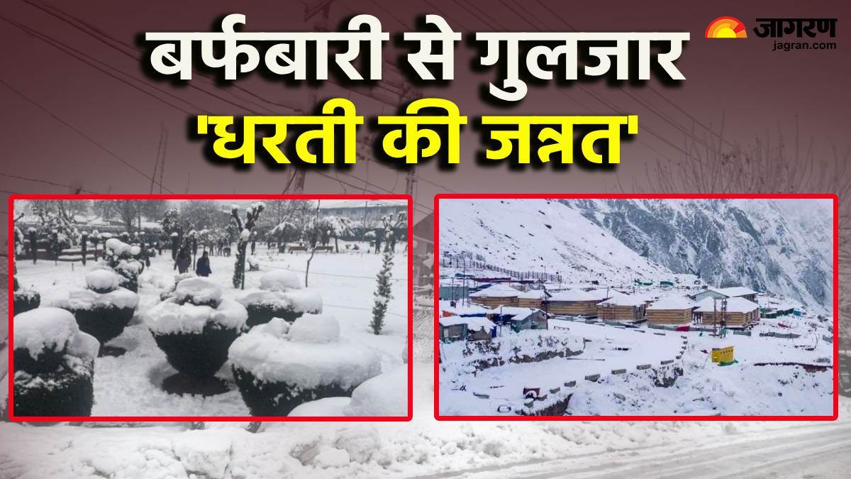 jammu kashmir snowfall photos tourists rejoiced seeing snowfall in kashmir see pictures