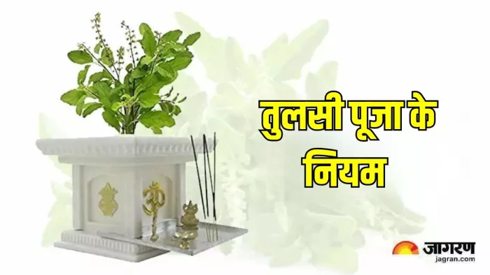 Tulsi Puja: तुलसी पूजा से धन में होती है वृद्धि