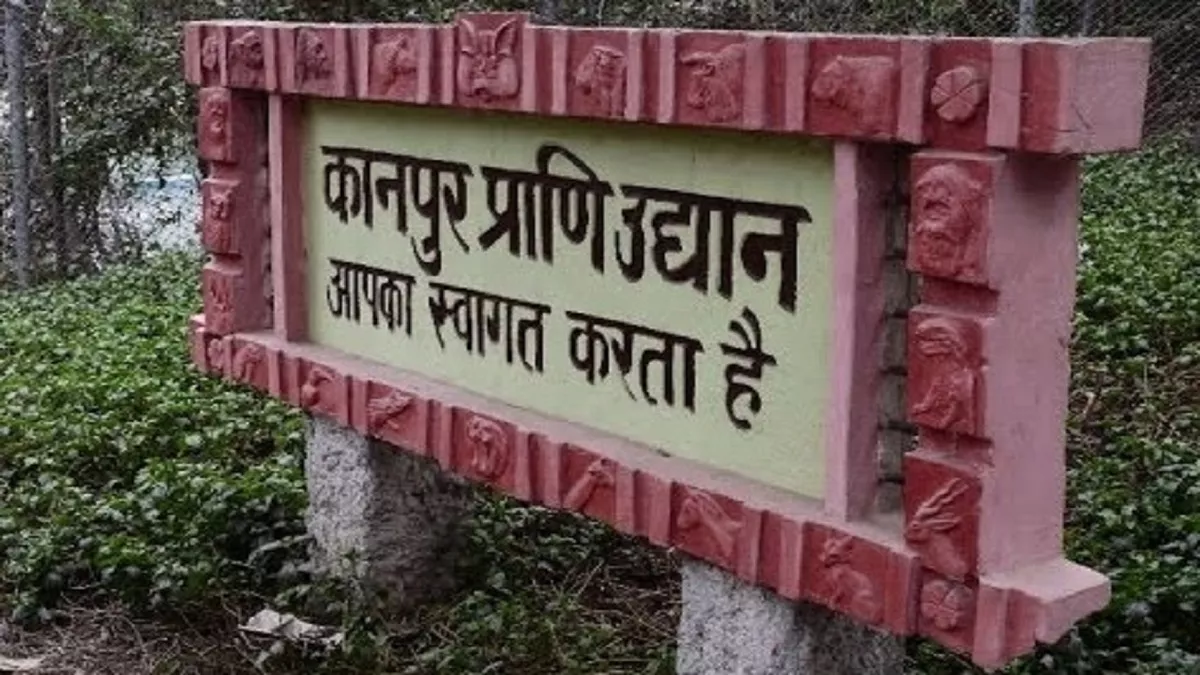 26 जनवरी की रात चिड़ियाघर से चोरी हुई दो क्विंटल वजनी तिजोरी शनिवार को परिसर से ही बरामद हो गई।