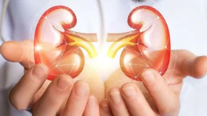 Kidney Cancer: ब्लड में अधिक भारी धातु बन सकती हैं गुर्दा कैंसर का कारण