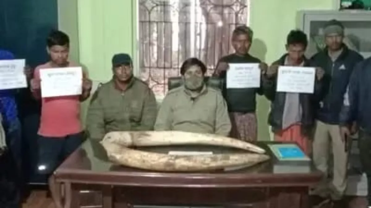 Mayurbhanj Crime: सिमिलिपाल में हाथी का अवैध शिकार करने वाले 4 शिकारी गिरफ्तार, आरोपियों से दांत भी किए बरामद