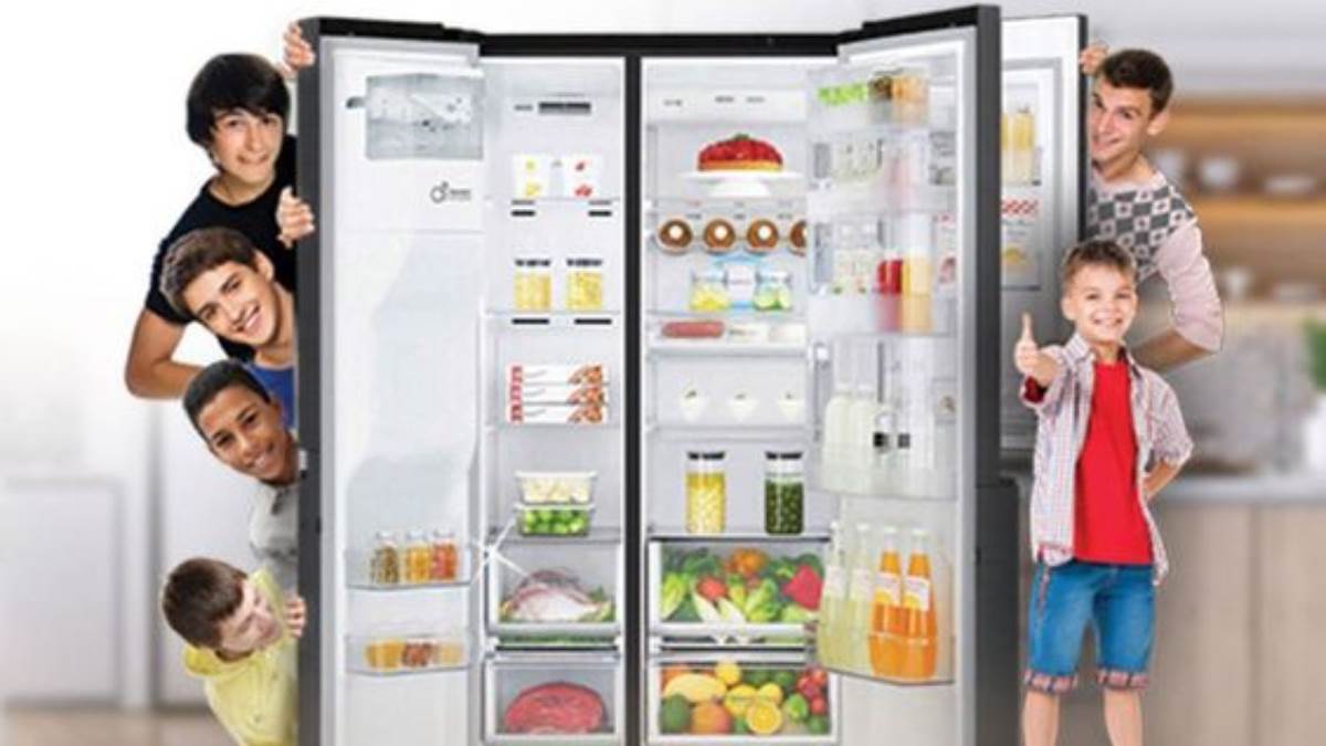 कश्मीर की वादियों से भी ज्यादा कूलिंग पावर संग आते हैं LG के ये Double Door Fridge, खाना रहेगा हफ्ते भर फ्रेश