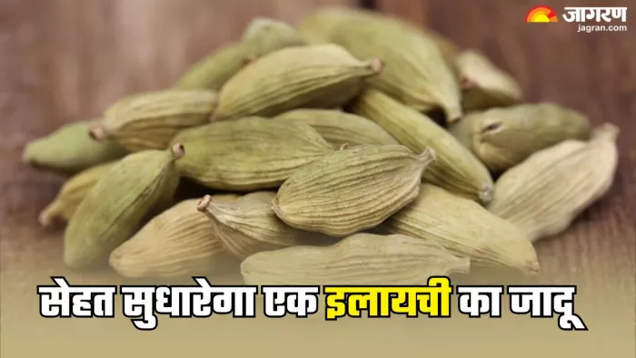रोजाना इलायची खाने के फायदे (Picture Credit- Freepik)