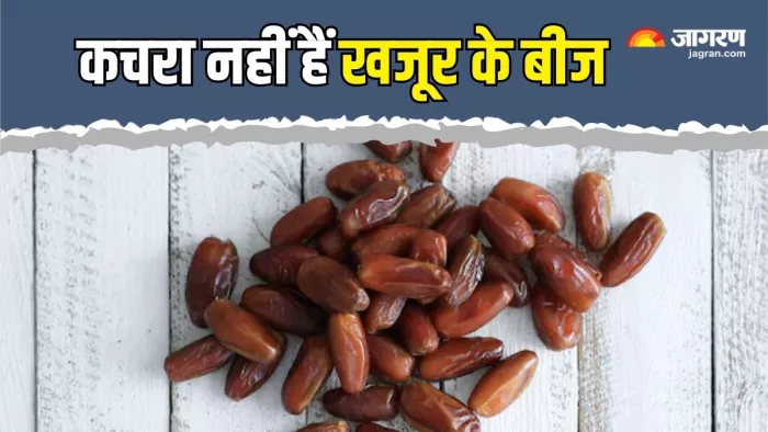 कूड़ा नहीं, सेहत के लिए वरदान हैं खजूर के बीज (Picture Courtesy: Freepik)