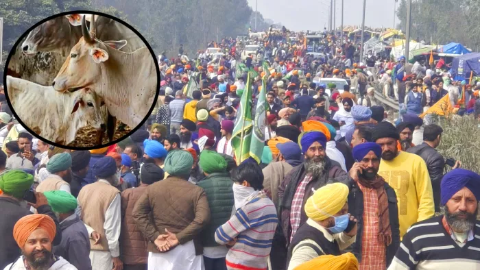 किसान संगठन दिल्ली कूच के लिए लेंगे गाय का सहारा।