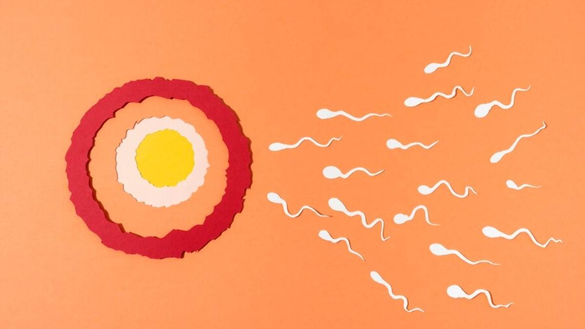 कैंसर का खतरा बढ़ाता है पुरुषों में Low Sperm Count, एक्सपर्ट से जानें