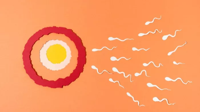 कैंसर का खतरा बढ़ाता है पुरुषों में Low Sperm Count, एक्सपर्ट से जानें क्या है यह कंडीशन - low sperm count may increase the risk of cancer in men know that expert