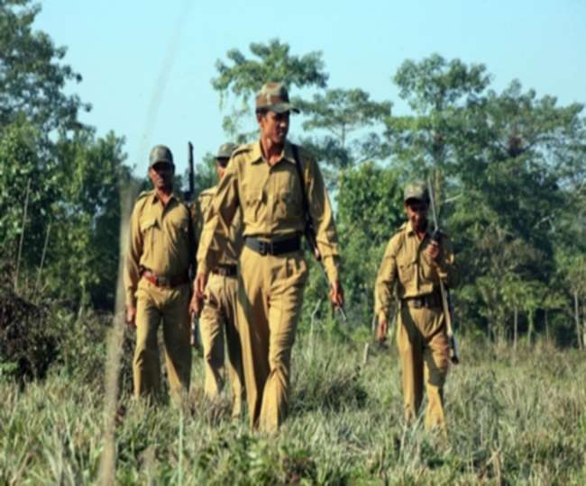 वन विभाग ने एक साल पहले ली थी आनलाइन परीक्षा, सोमवार को जारी हुआ परिणाम।