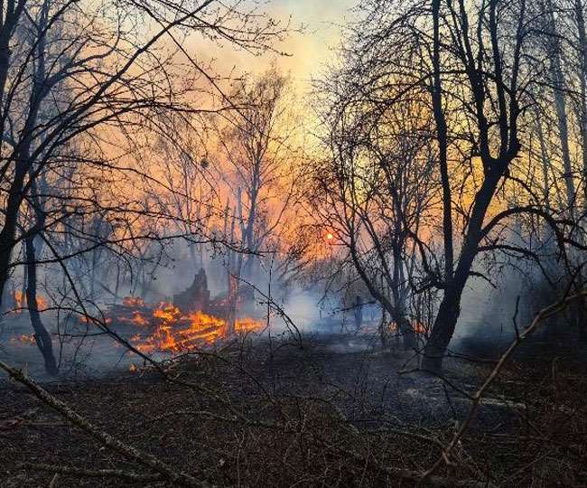सरिस्का टाइगर रिजर्व में फैली आग, सेना के हेलीकाप्टरों से किया जा रहा पानी का छिड़काव