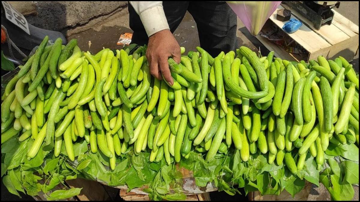 Benefits Of Kakdi गर्मियों में जरूर खाएं ककड़ी, वजन कम होने के साथ ही