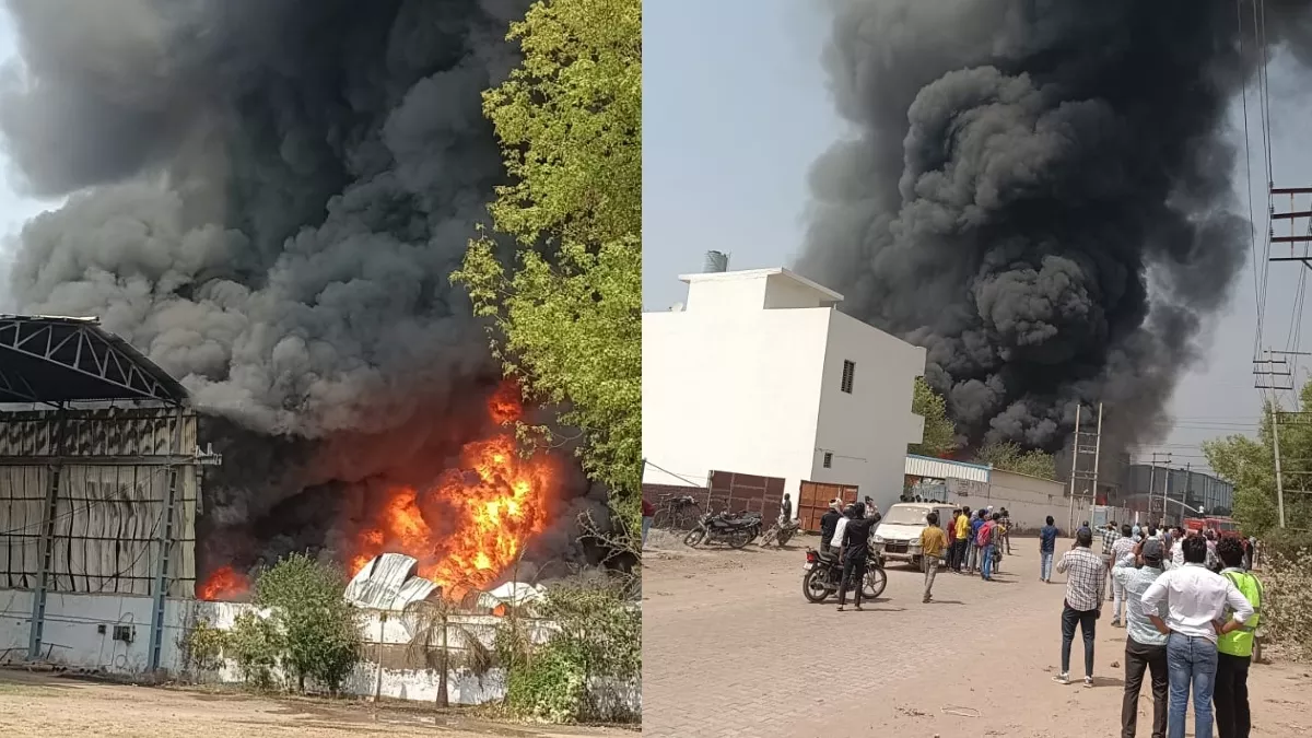 Faridabad Fire: आसाराम बापू के आश्रम के पास दो कंपनियों में लगी भीषण आग, दमकलकर्मी मौके पर मौजूद