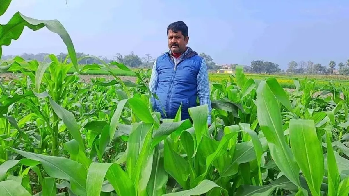 Bihar News: इंजीनियर बनने का सपना टूटा तो करने लगे सब्जी की खेती, कमा रहे 22 लाख सालाना, पढ़िए संघर्ष की कहानी