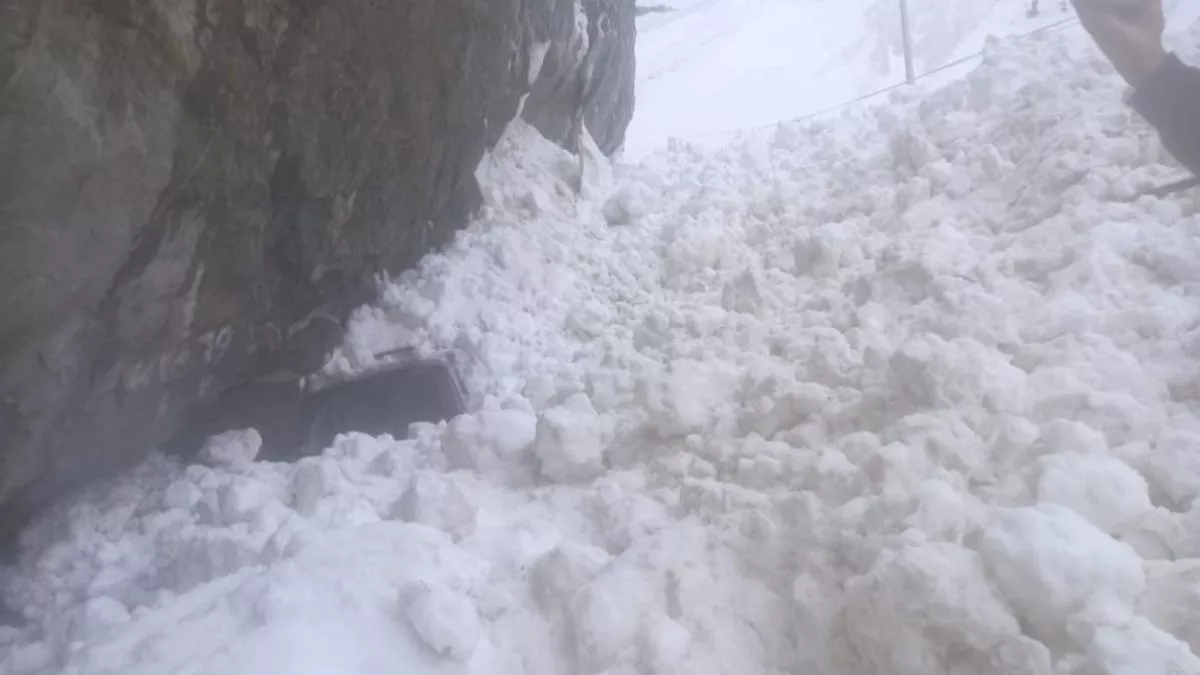 Snow Avalanche in Sonmarg: कश्‍मीर के सोनमर्ग में आया बर्फ का सैलाब, हिमस्‍खलन की चपेट में आई कई गाड़ियां; देखें वीडियो