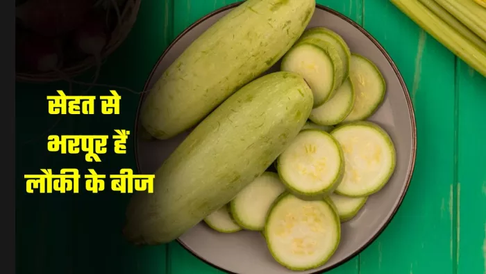 लौकी के बीज खाने के जबरदस्त फायदे। (Image Credit- Freepik)