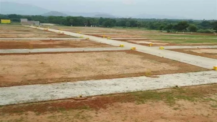 आरोप यह भी लगाया गया है कि इसमें राजस्व कर्मियों की भी मिलीभगत है।