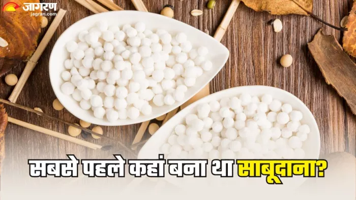 कब और कैसे खानपान का हिस्सा बना साबूदाना (Picture Credit- Freepik)