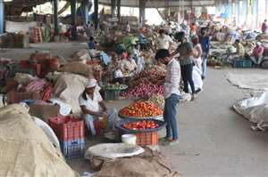 रिटेलर्स के लिए बंद हुई नई सब्जी मंडी तो कई आढ़ती रिटेल में देने लगे सब्जियां