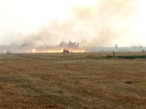 तारों में स्पार्किंग होने से ढाई सौ एकड़ में खड़ी नाड़ जलकर राख