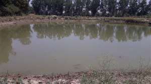 निजी भूमि में तालाब खोदवाने के साथ ही पौधों रोपण