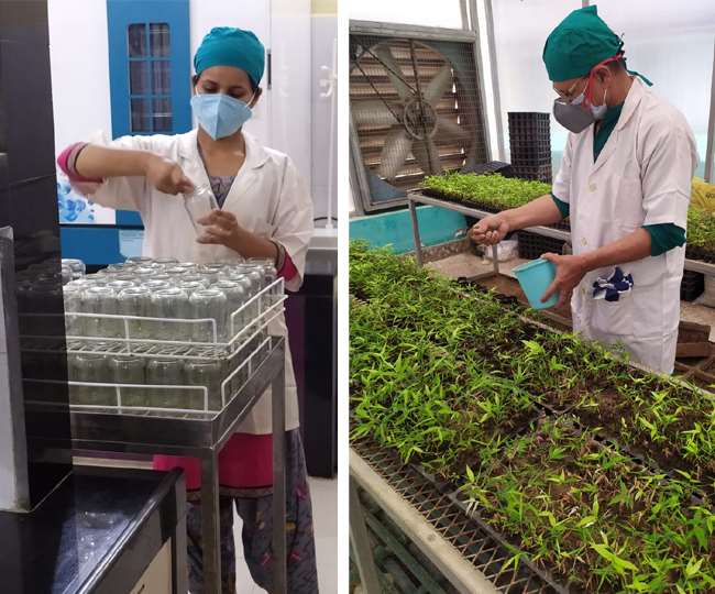 tmbu corona virus could not stop research and production work in tmbu lab