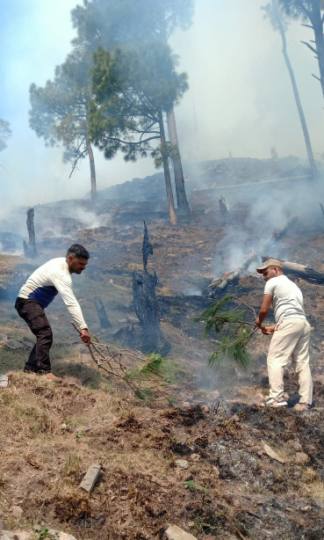 बढ़ते तापमान में जंगलों व पहाड़ों पर भड़क रही आग