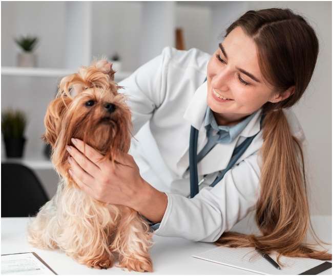 https://www.jagranimages.com/images/newimg/29042022/29_04_2022-world-veterinary-day_22669944.jpg