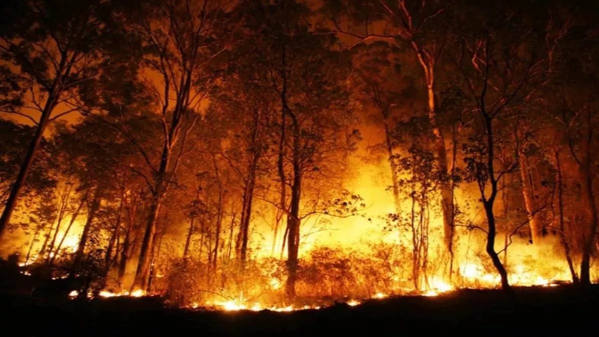 Kotdwar News: लैंसडौन की मटियाली रेंज के लंगूरी जंगलों में लगी आग, फायर फाइटरों ने जान जोखिम में डाल पाया काबू