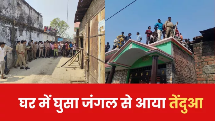 ग्रामीण के घर में घुसा तेंदुआ, फैली दहशत