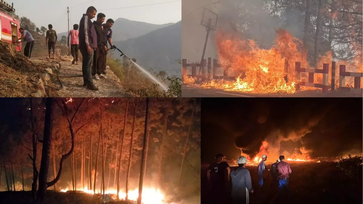 Uttarakhand Forest Fire: थापली तक पहुंची जंगल की आग, गांववाले सारा काम छोड़ बुझाने दौड़े; पर लपटें काफी तेज