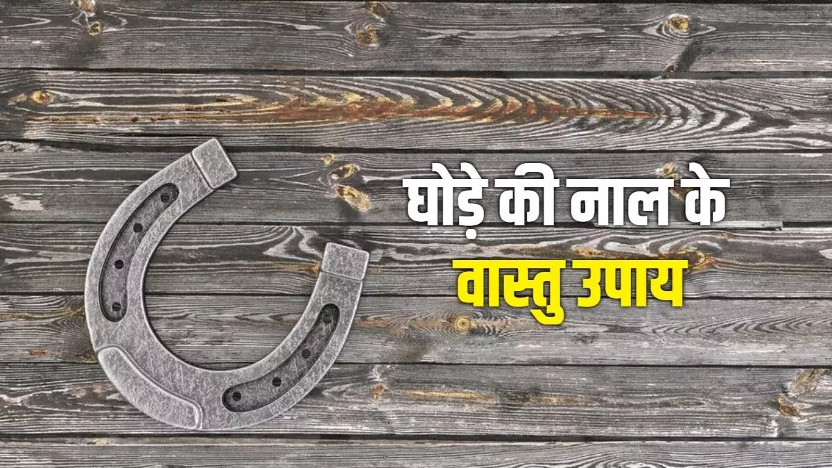 Vastu Tips: घर के मुख्य दरवाजे पर लगाएं घोड़े की नाल, सुख-सौभाग्य में होगी अपार वृद्धि