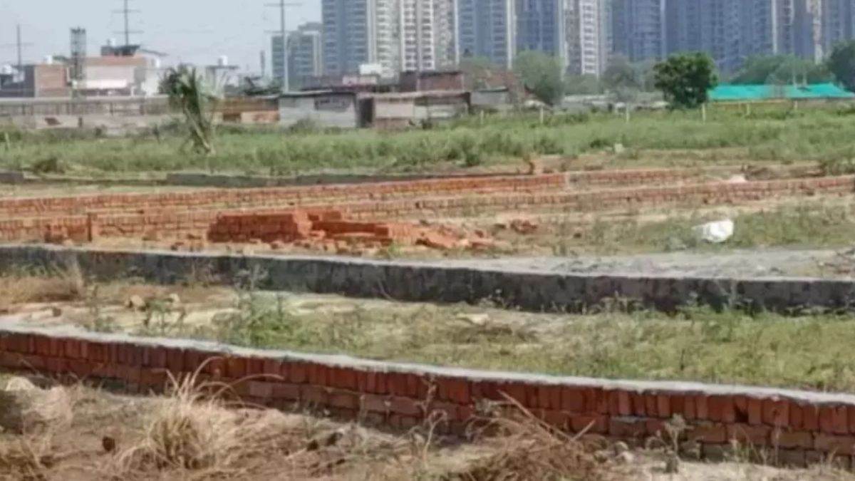 ncr yamuna authority canceled 16 industrial plots allotment