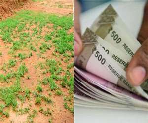 Gumla Samachar, Jharkhand News लोग काेरोना संक्रमण के कारण कार्यालय नहीं आना चाहते हैं।