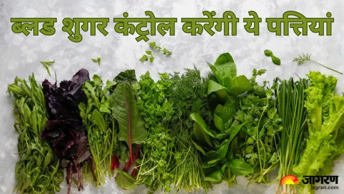 ब्लड शुगर कम करेंगी ये पत्तियां (Picture Credit- Freepik)