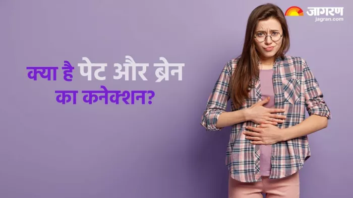 गट-ब्रेन का क्या है कनेक्शन ( Pic credit- freepik)