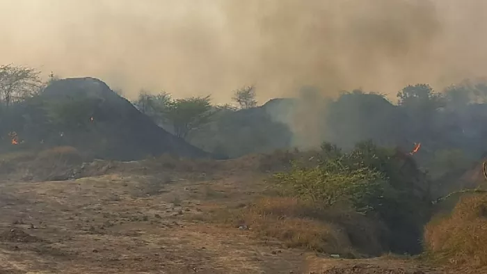 जंगल में आग लगने से 30 बीघा क्षेत्र के पेड़ जले